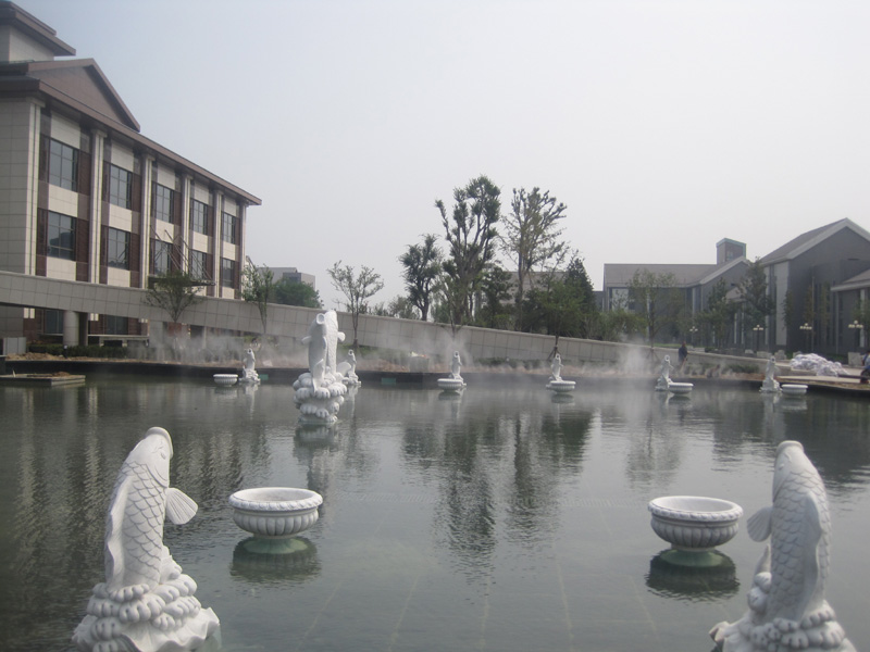 �Ͳ������ǳǇ��F�(xi��ng)Ŀ